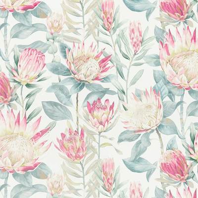 King protea Orchid/grey