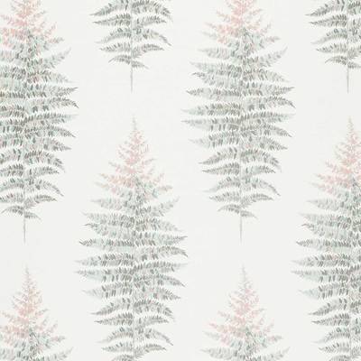 Fernery Orchid/grey