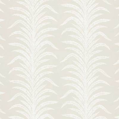 Tree fern wave Orchid/white