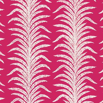 Tree fern weave Rhodera