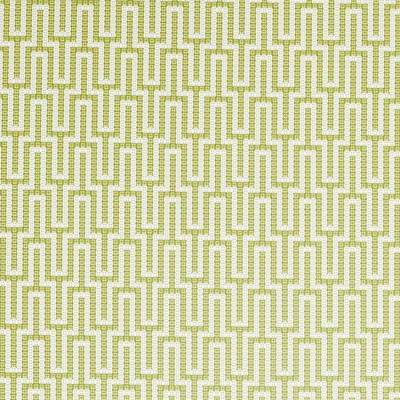 Linnean Lime