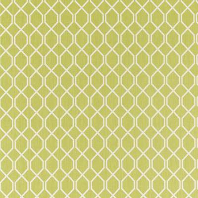 Botanic trellis Lime