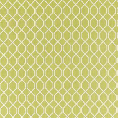 Botanic trellis Lime