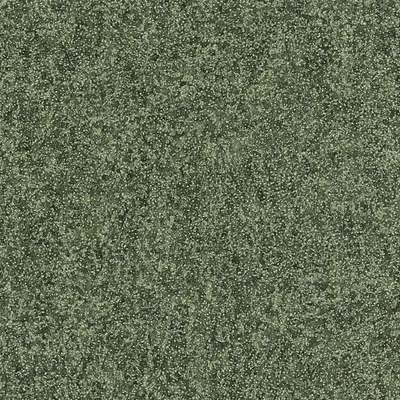 Shagreen Olivine