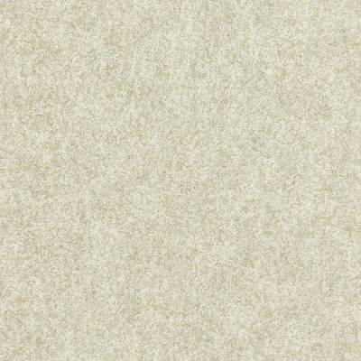 Shagreen Platinum Grey