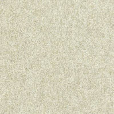 Shagreen Platinum Grey