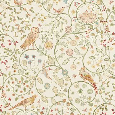 Newill Chintz