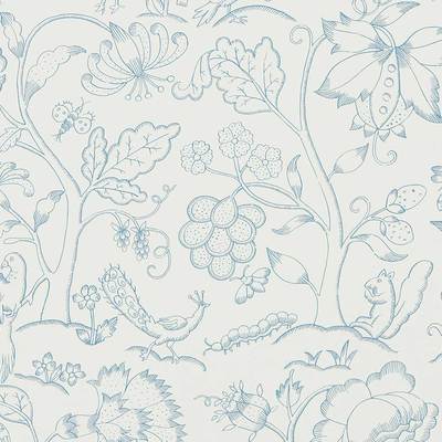 Middlemoore Cornflower Chalk