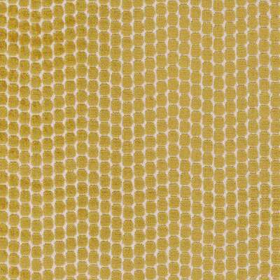 Perou Jaune