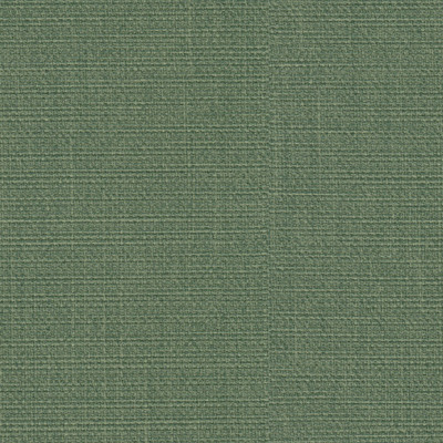 Tessuto Zucchini