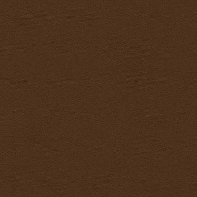 Dorton Cocoa