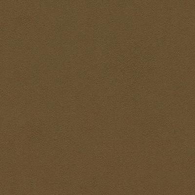 Dorton Walnut