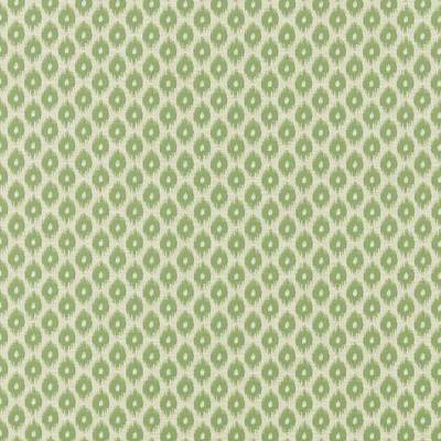 Meru Nettle