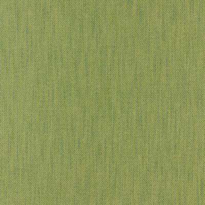 Darter Nettle