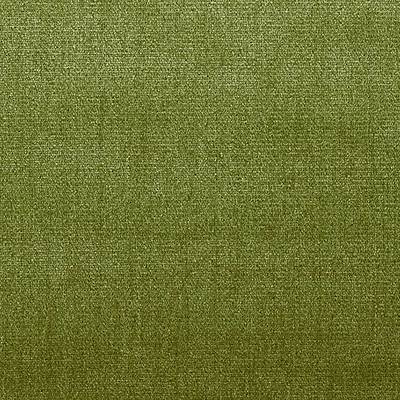 Venise Vert Olive