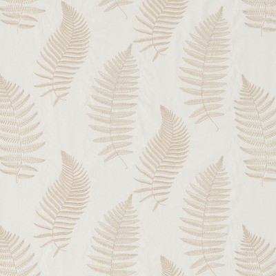 Fern Embroidery Ivory