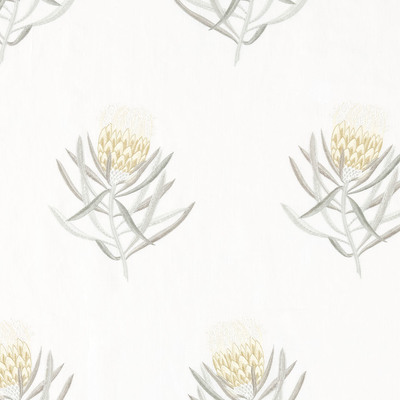 Protea Flower Daffodil/Natural