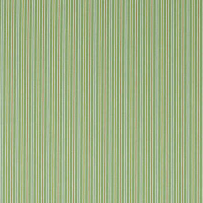 Melford Stripe Fern