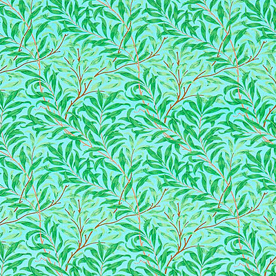 Willow Bough Sky Leaf Green