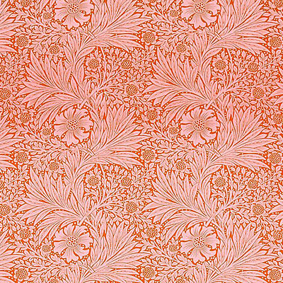 Marigold Orange Pink